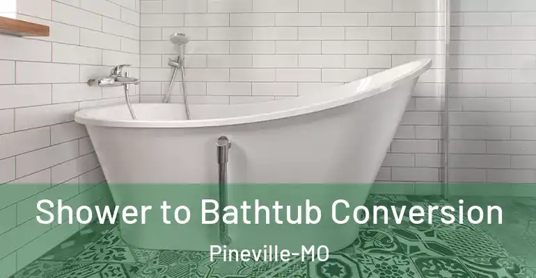inner Bathroom imggen Shower to Bathtub Conversion Pineville-MO
