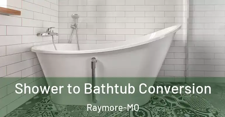 inner Bathroom imggen Shower to Bathtub Conversion Raymore-MO