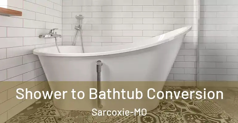 inner Bathroom imggen Shower to Bathtub Conversion Sarcoxie-MO