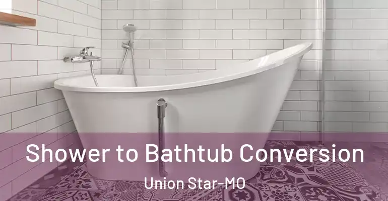 inner Bathroom imggen Shower to Bathtub Conversion Union Star-MO
