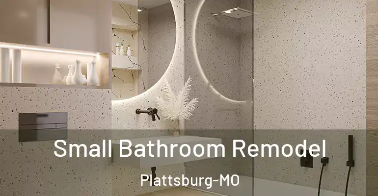 inner Bathroom imggen Small Bathroom Remodel Plattsburg-MO