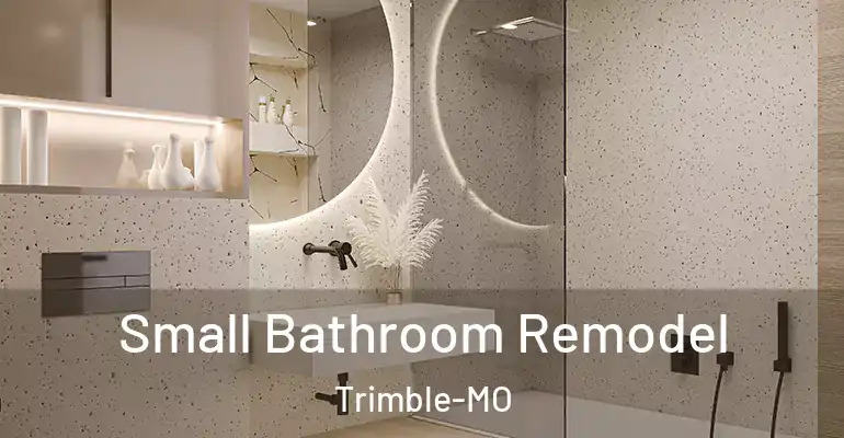 inner Bathroom imggen Small Bathroom Remodel Trimble-MO