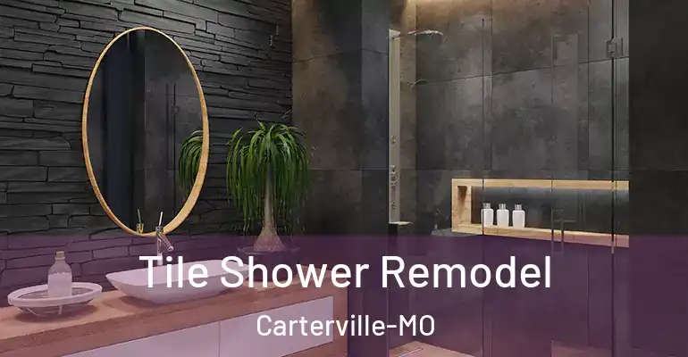 inner Bathroom imggen Tile Shower Remodel Carterville-MO