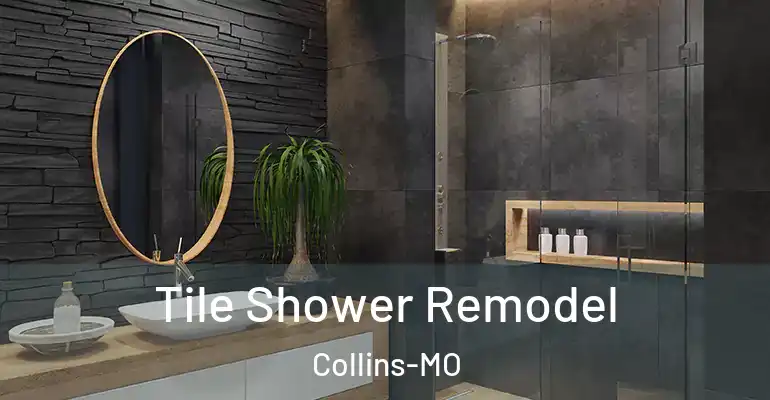 inner Bathroom imggen Tile Shower Remodel Collins-MO