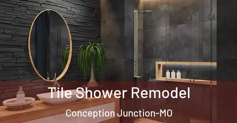 inner Bathroom imggen Tile Shower Remodel Conception Junction-MO