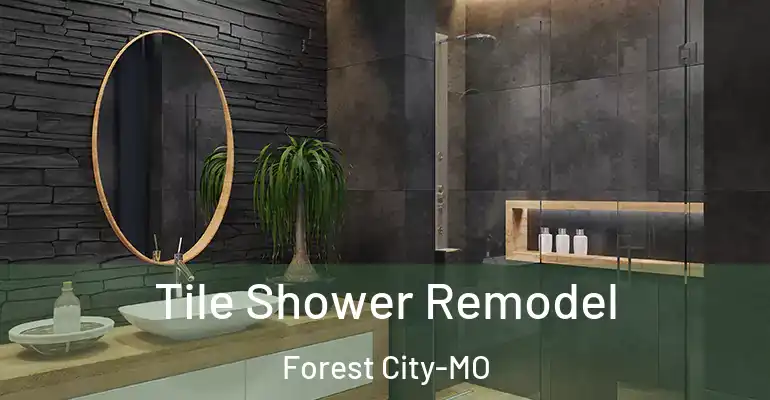 inner Bathroom imggen Tile Shower Remodel Forest City-MO