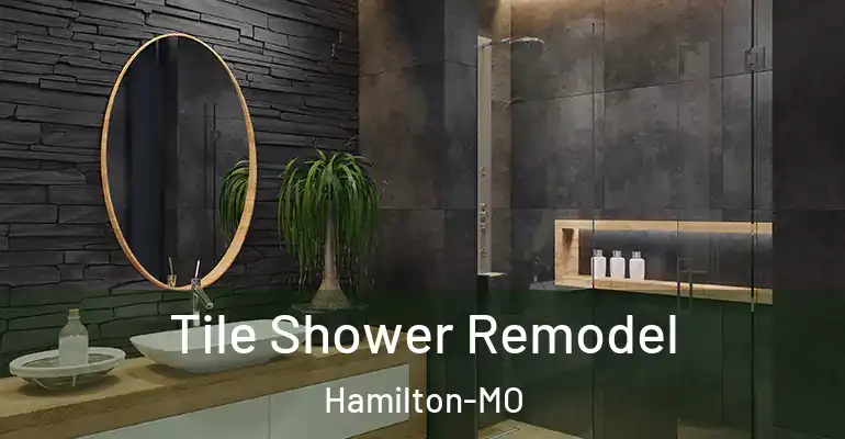 inner Bathroom imggen Tile Shower Remodel Hamilton-MO