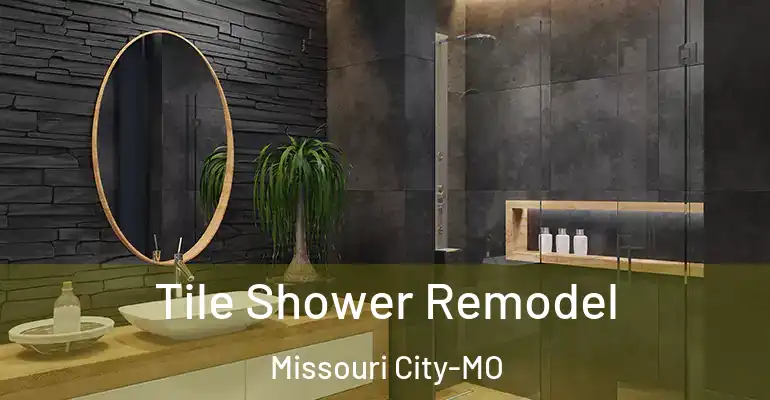 inner Bathroom imggen Tile Shower Remodel Missouri City-MO