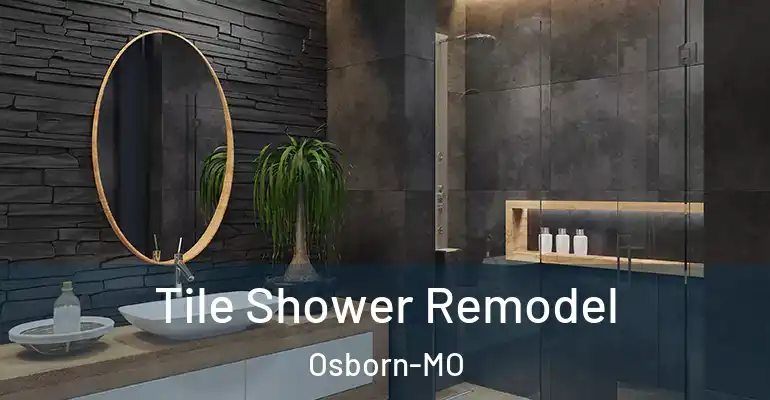 inner Bathroom imggen Tile Shower Remodel Osborn-MO