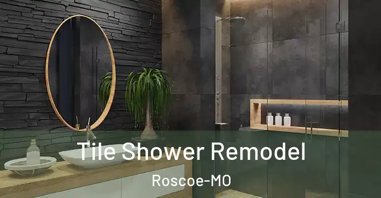 inner Bathroom imggen Tile Shower Remodel Roscoe-MO
