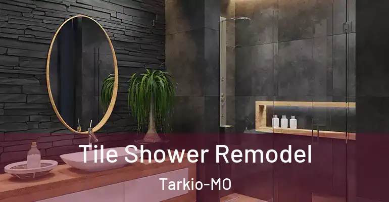 inner Bathroom imggen Tile Shower Remodel Tarkio-MO
