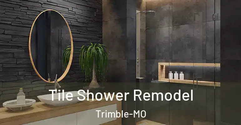 inner Bathroom imggen Tile Shower Remodel Trimble-MO