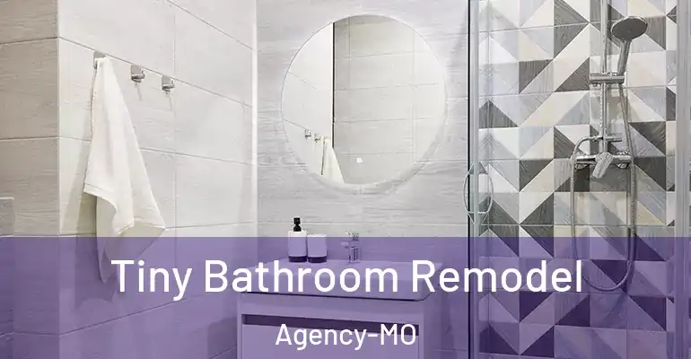 inner Bathroom imggen Tiny Bathroom Remodel Agency-MO