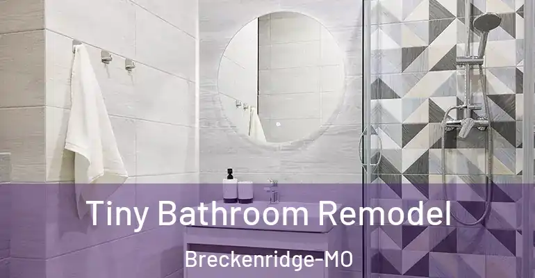 inner Bathroom imggen Tiny Bathroom Remodel Breckenridge-MO