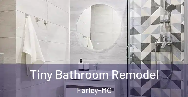 inner Bathroom imggen Tiny Bathroom Remodel Farley-MO