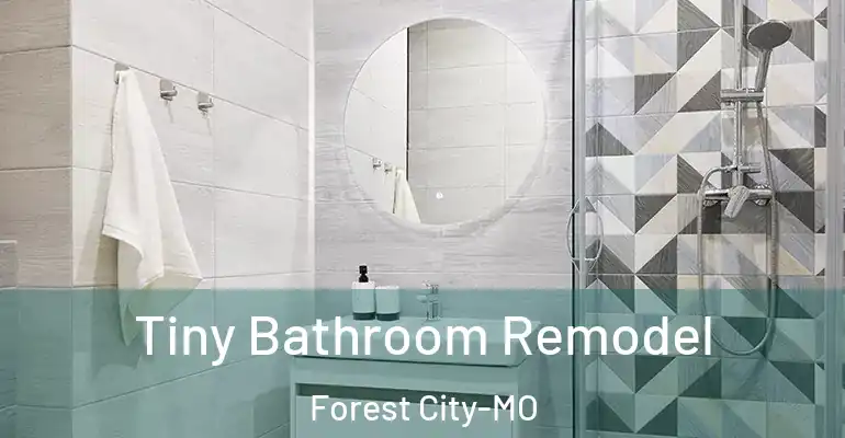 inner Bathroom imggen Tiny Bathroom Remodel Forest City-MO