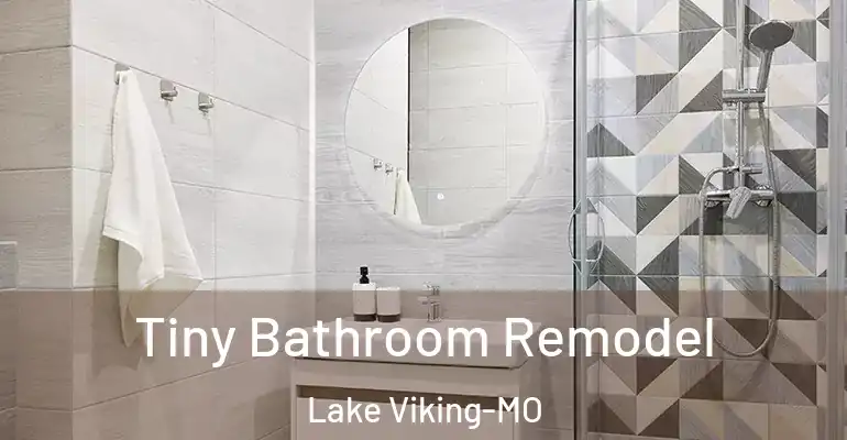 inner Bathroom imggen Tiny Bathroom Remodel Lake Viking-MO