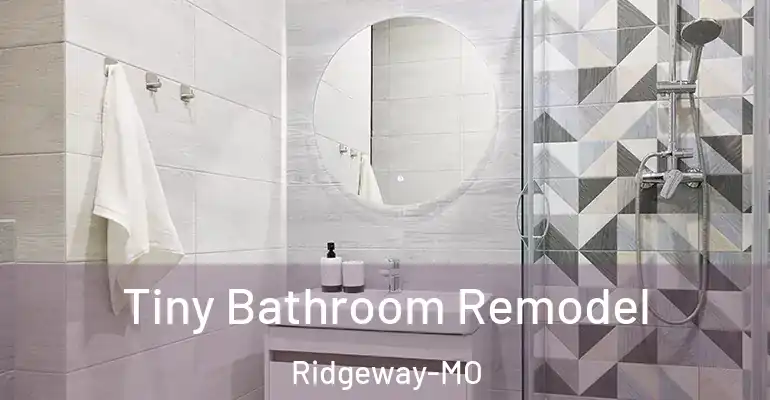 inner Bathroom imggen Tiny Bathroom Remodel Ridgeway-MO