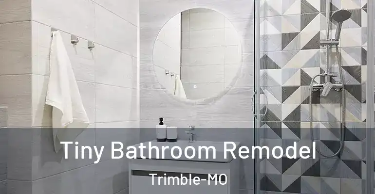 inner Bathroom imggen Tiny Bathroom Remodel Trimble-MO