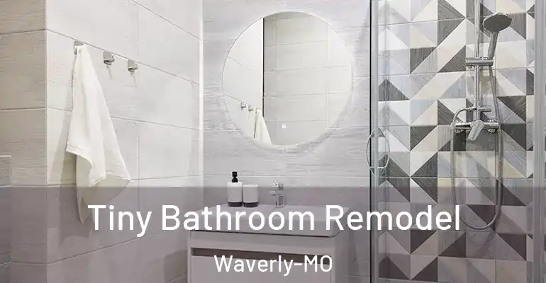 inner Bathroom imggen Tiny Bathroom Remodel Waverly-MO