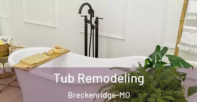 inner Bathroom imggen Tub Remodeling Breckenridge-MO