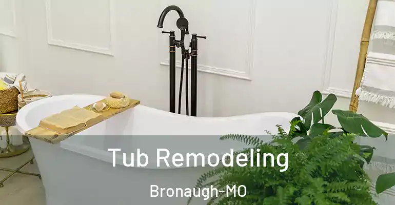 inner Bathroom imggen Tub Remodeling Bronaugh-MO