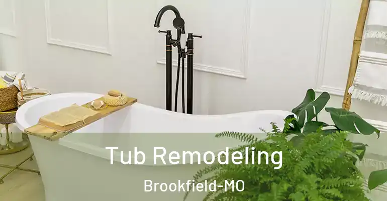 inner Bathroom imggen Tub Remodeling Brookfield-MO