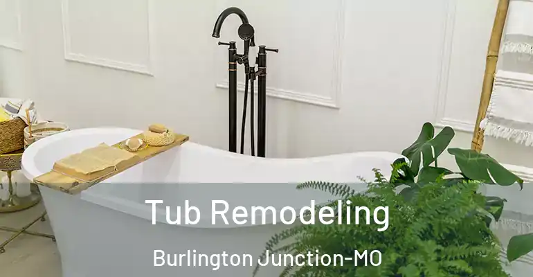 inner Bathroom imggen Tub Remodeling Burlington Junction-MO