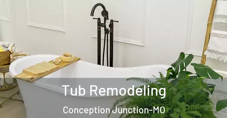 inner Bathroom imggen Tub Remodeling Conception Junction-MO