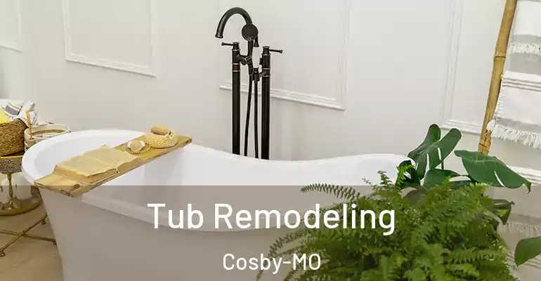 inner Bathroom imggen Tub Remodeling Cosby-MO