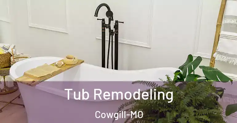 inner Bathroom imggen Tub Remodeling Cowgill-MO