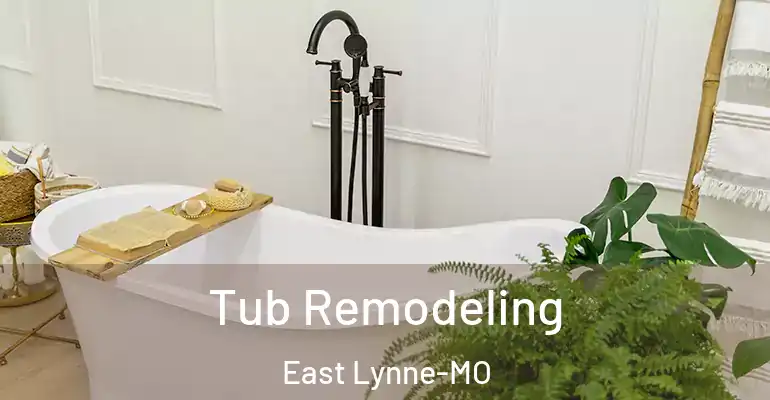 inner Bathroom imggen Tub Remodeling East Lynne-MO
