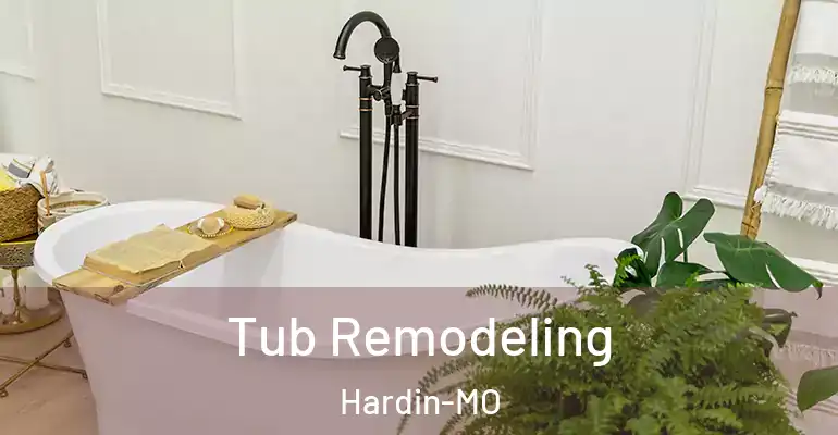 inner Bathroom imggen Tub Remodeling Hardin-MO