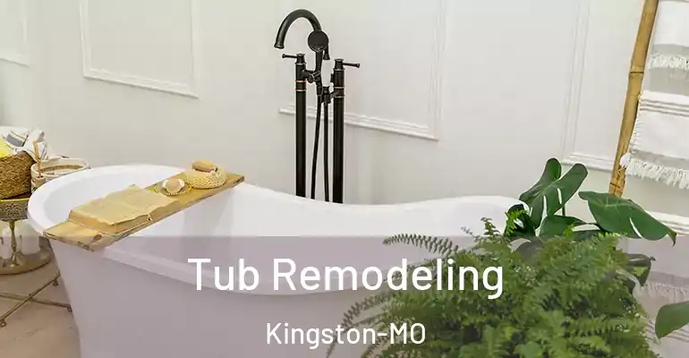 inner Bathroom imggen Tub Remodeling Kingston-MO
