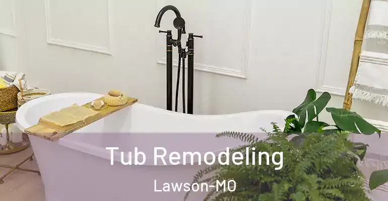 inner Bathroom imggen Tub Remodeling Lawson-MO