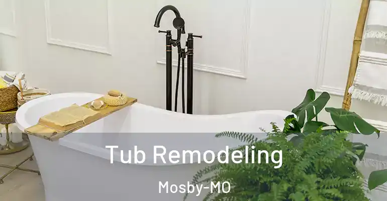 inner Bathroom imggen Tub Remodeling Mosby-MO