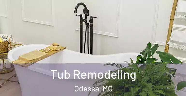inner Bathroom imggen Tub Remodeling Odessa-MO