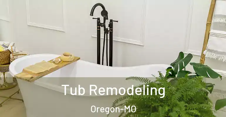 inner Bathroom imggen Tub Remodeling Oregon-MO