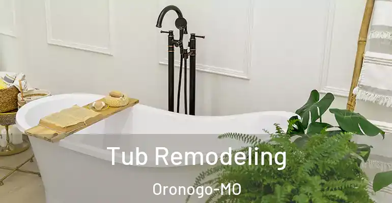 inner Bathroom imggen Tub Remodeling Oronogo-MO