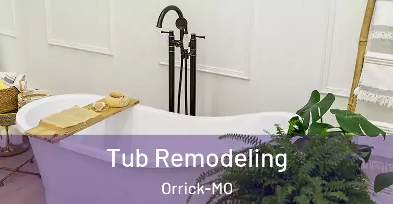 inner Bathroom imggen Tub Remodeling Orrick-MO
