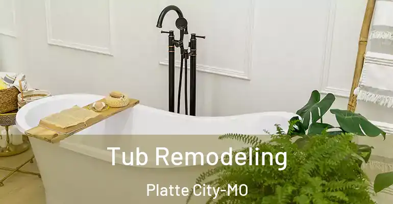 inner Bathroom imggen Tub Remodeling Platte City-MO
