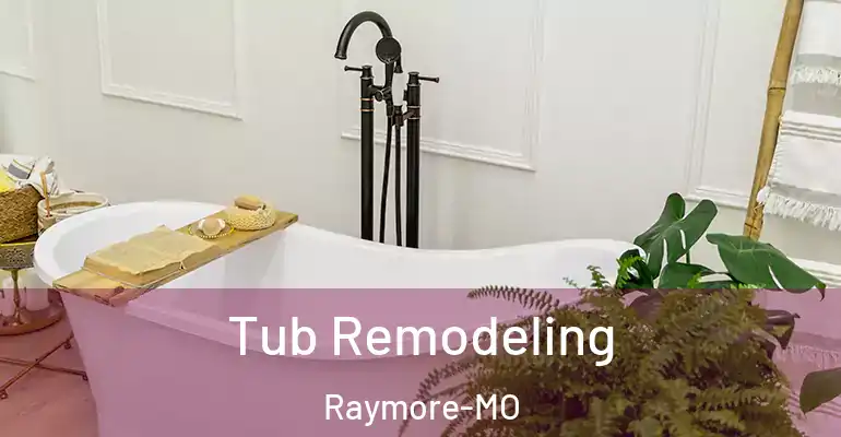 inner Bathroom imggen Tub Remodeling Raymore-MO