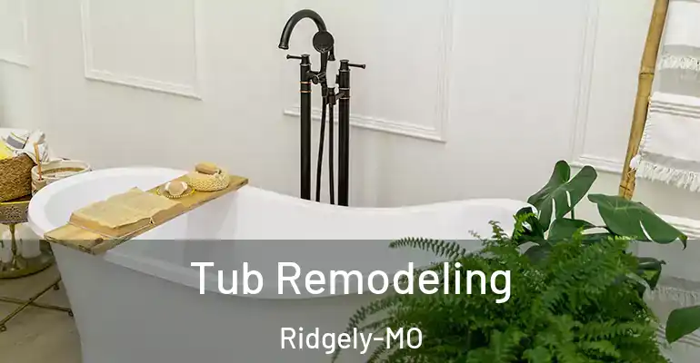 inner Bathroom imggen Tub Remodeling Ridgely-MO