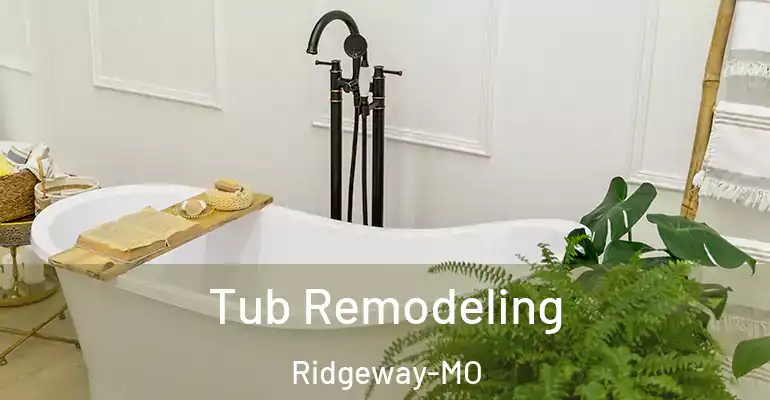 inner Bathroom imggen Tub Remodeling Ridgeway-MO