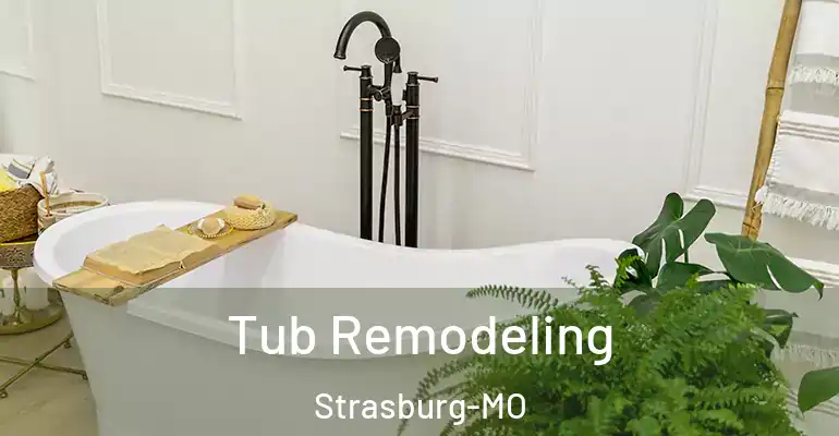inner Bathroom imggen Tub Remodeling Strasburg-MO