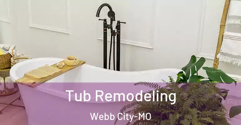 inner Bathroom imggen Tub Remodeling Webb City-MO