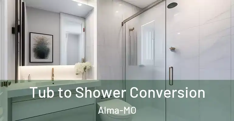 inner Bathroom imggen Tub to Shower Conversion Alma-MO