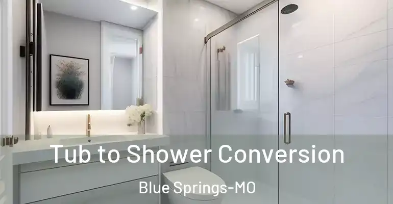 inner Bathroom imggen Tub to Shower Conversion Blue Springs-MO