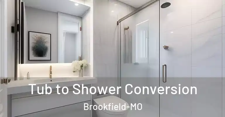 inner Bathroom imggen Tub to Shower Conversion Brookfield-MO