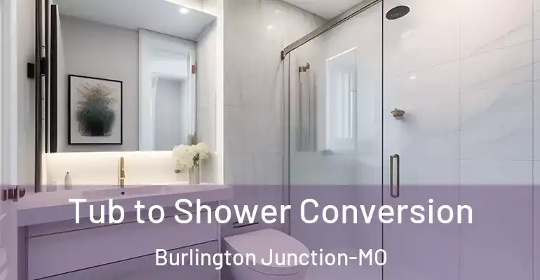 inner Bathroom imggen Tub to Shower Conversion Burlington Junction-MO